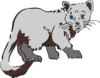 Gray Cat Clip Art